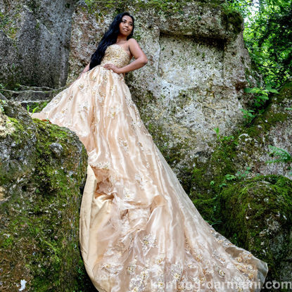 Imagen de Gold organza & lace beaded gown