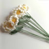 Picture of Daisy - realistic handmade crochet flowers