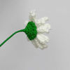 Picture of Daisy - realistic handmade crochet flowers