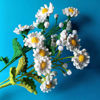 Picture of Daisy - realistic handmade crochet flowers