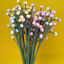 Picture of baby's-breath - realistic handmade crochet flowers