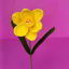 Picture of Daffodil - realistic handmade crochet flowers